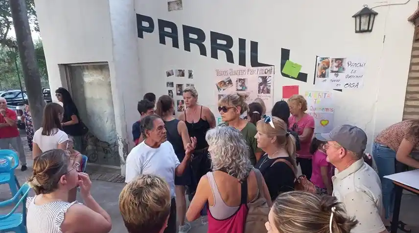 Tras el rescate de los monos carayá, en Carhué los vecinos reclaman: "Devuelvan a Panchita"