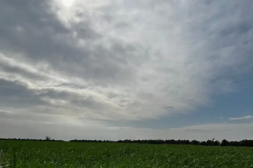 Perpectiva agropecuaria