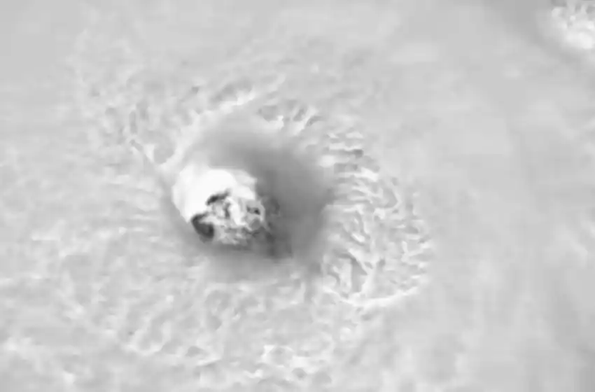 Estados Unidos en alerta: impresionante video del huracán Florence