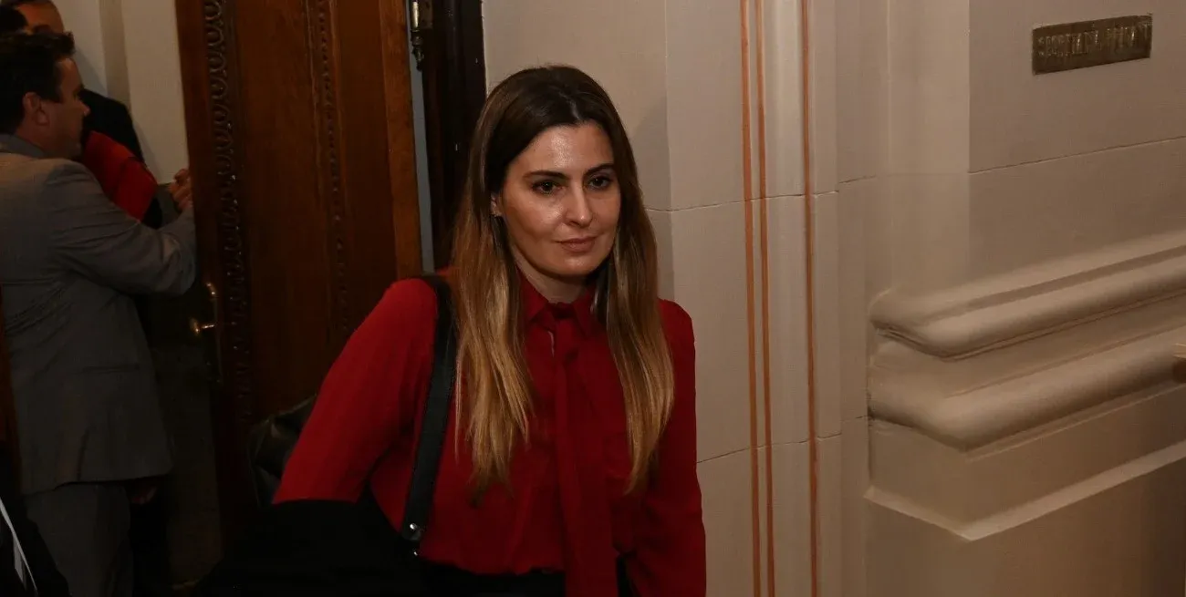 Cattalini: "La reforma de la Constitución provincial nos obligó a pensar ahora qué ciudades queremos". Crédito: Flavio Raina.