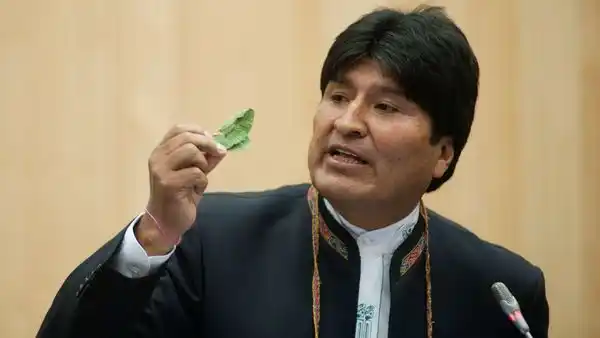 Evo Morales amplía la superficie de cultivo de coca