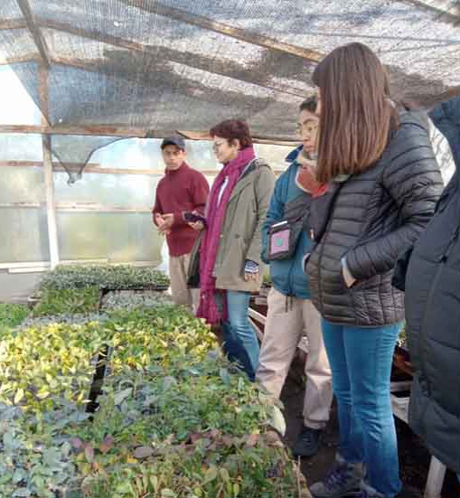 Los colaboradores tratan la tierra para sus plantas durante todo el año, utilizando el compost como principal insumo.