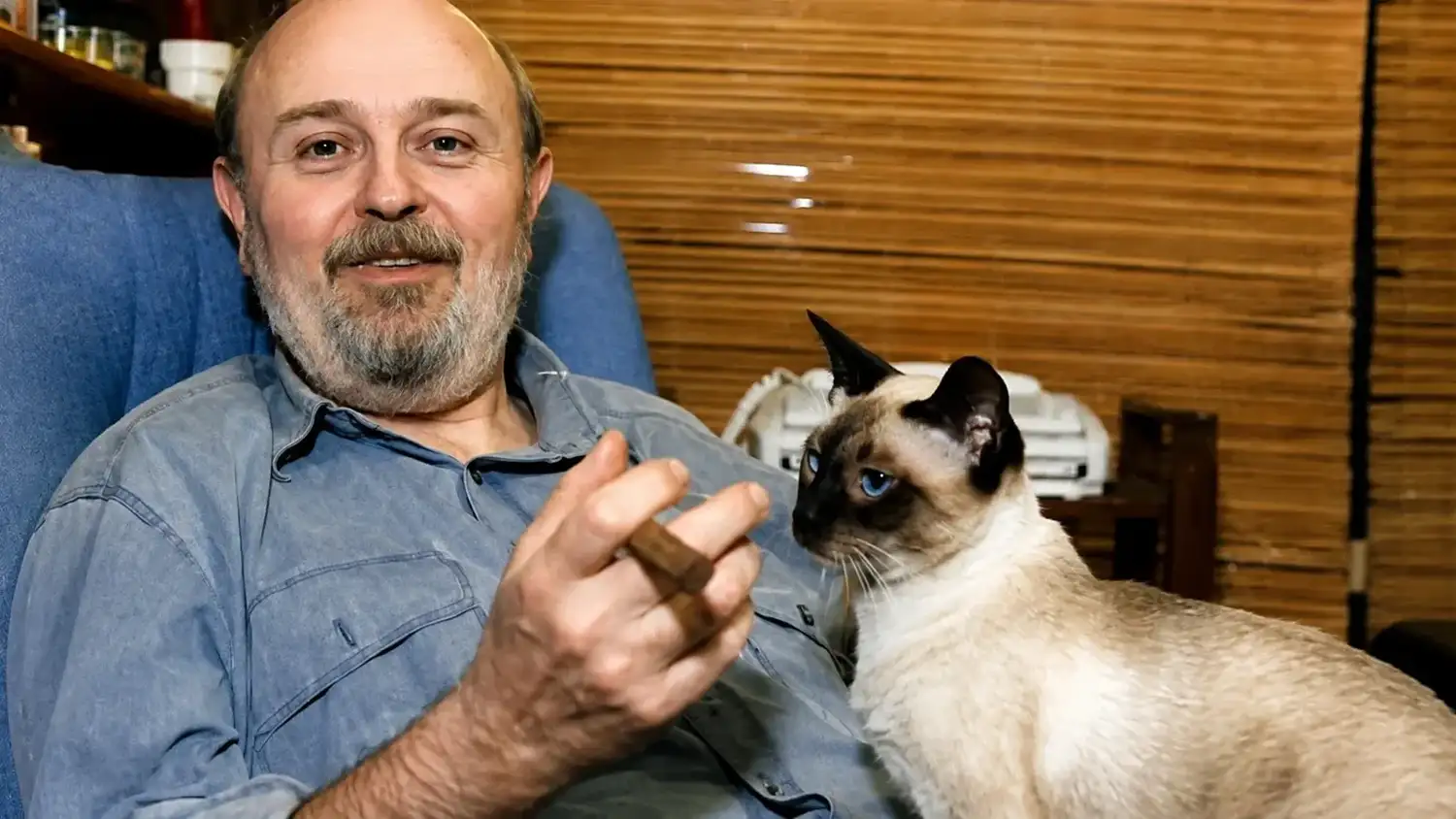 Este sábado 8 de agosto se celebra el Día Internacional del Gato .