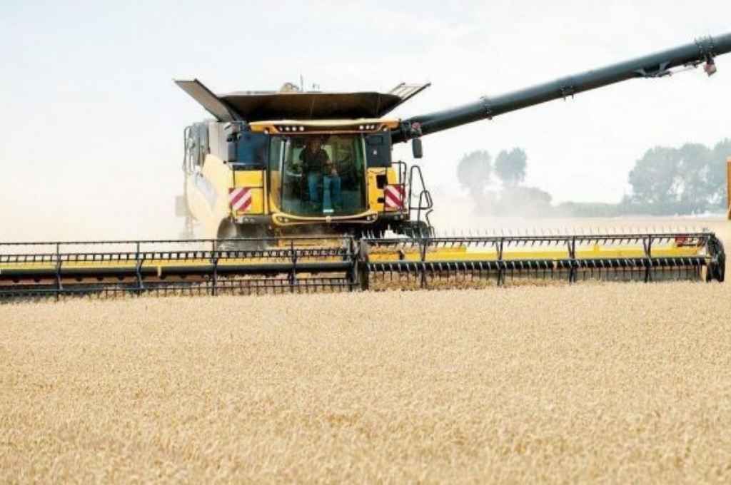 El 72% de las exportaciones provienen del campo