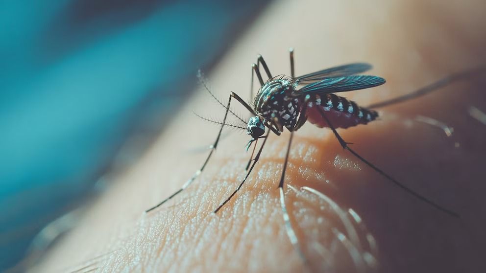 Realizaron un bloqueo sanitario en Urdinarrain por un nuevo caso positivo de dengue