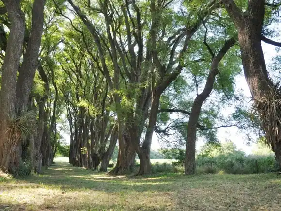 Entre Ríos amplía y fortalece su Sistema de Áreas Naturales Protegidas incorporando dos nuevas reservas