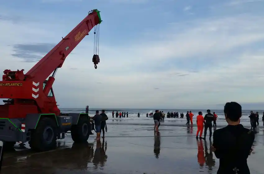 Retomarán este lunes el salvataje de la ballena
