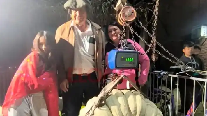 zapallo gigante de más de 135 kilos - 2