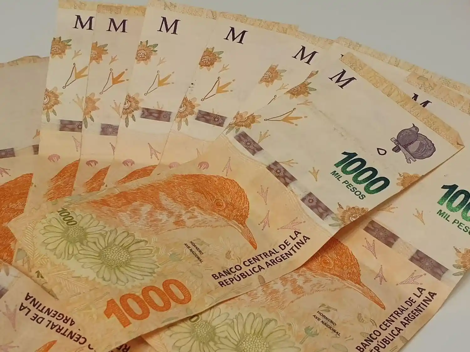 De acuerdo a un informe elaborado por la CTA el salario mínimo cayó un 34,1% desde que asumió Javier Milei.