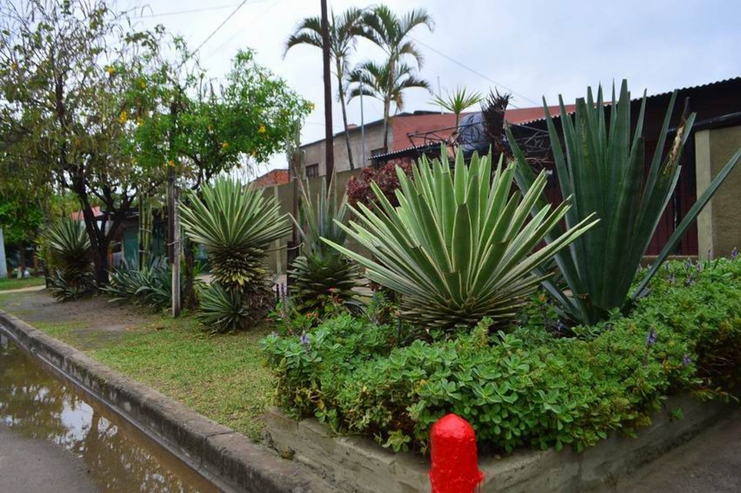 El Municipio organiza la 2.ª edición del 
concurso Embellecimiento de Parterres y Jardines