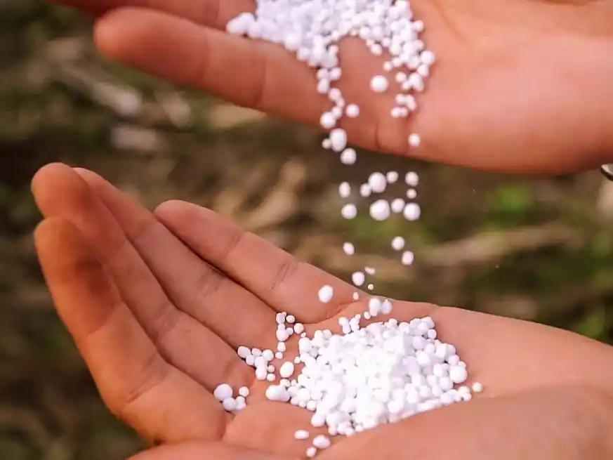 En términos de valor, las importaciones de fertilizantes totalizaron US$ 1.926 millones entre enero y octubre del 2025.