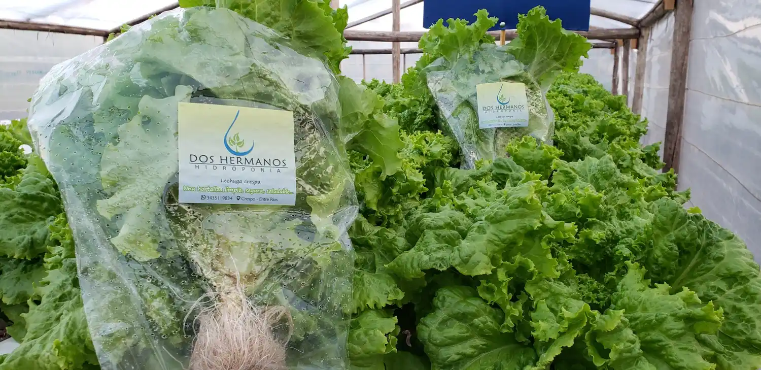 El emprendimiento de dos jóvenes crespenses empieza a dar sus frutos