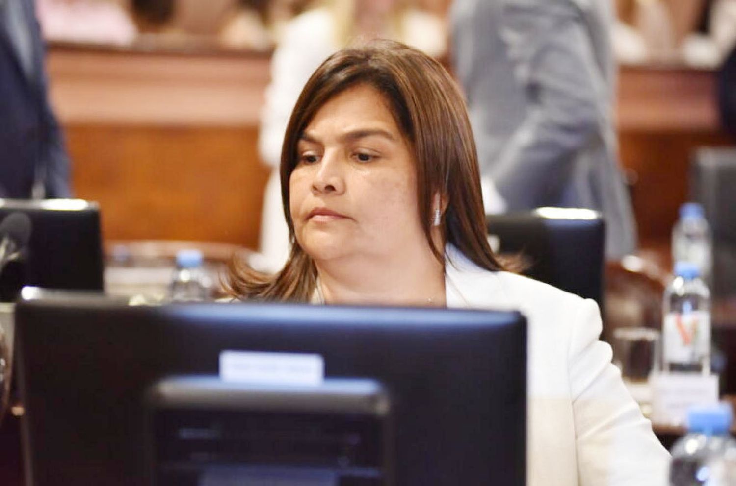 Pidieron que Mariela Avila “libere su banca” en Diputados