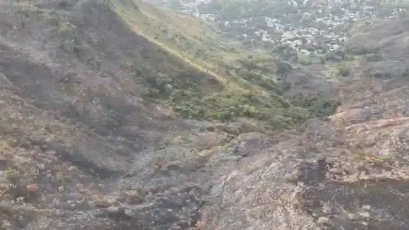 LLAMAS DEVORARON UNAS 250 HECTÁREAS del parque Henri Pittier