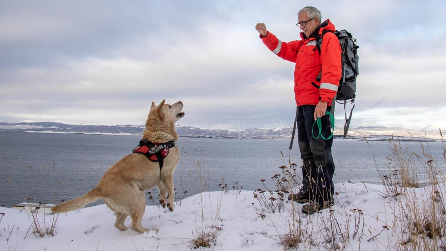 Un perro salvó a un esquiador enterrado bajo un metro y medio de nieve 