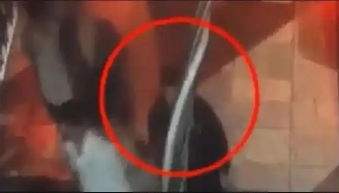 El misterio del rugbier once que aparece en los videos del crimen de Fernando Baez