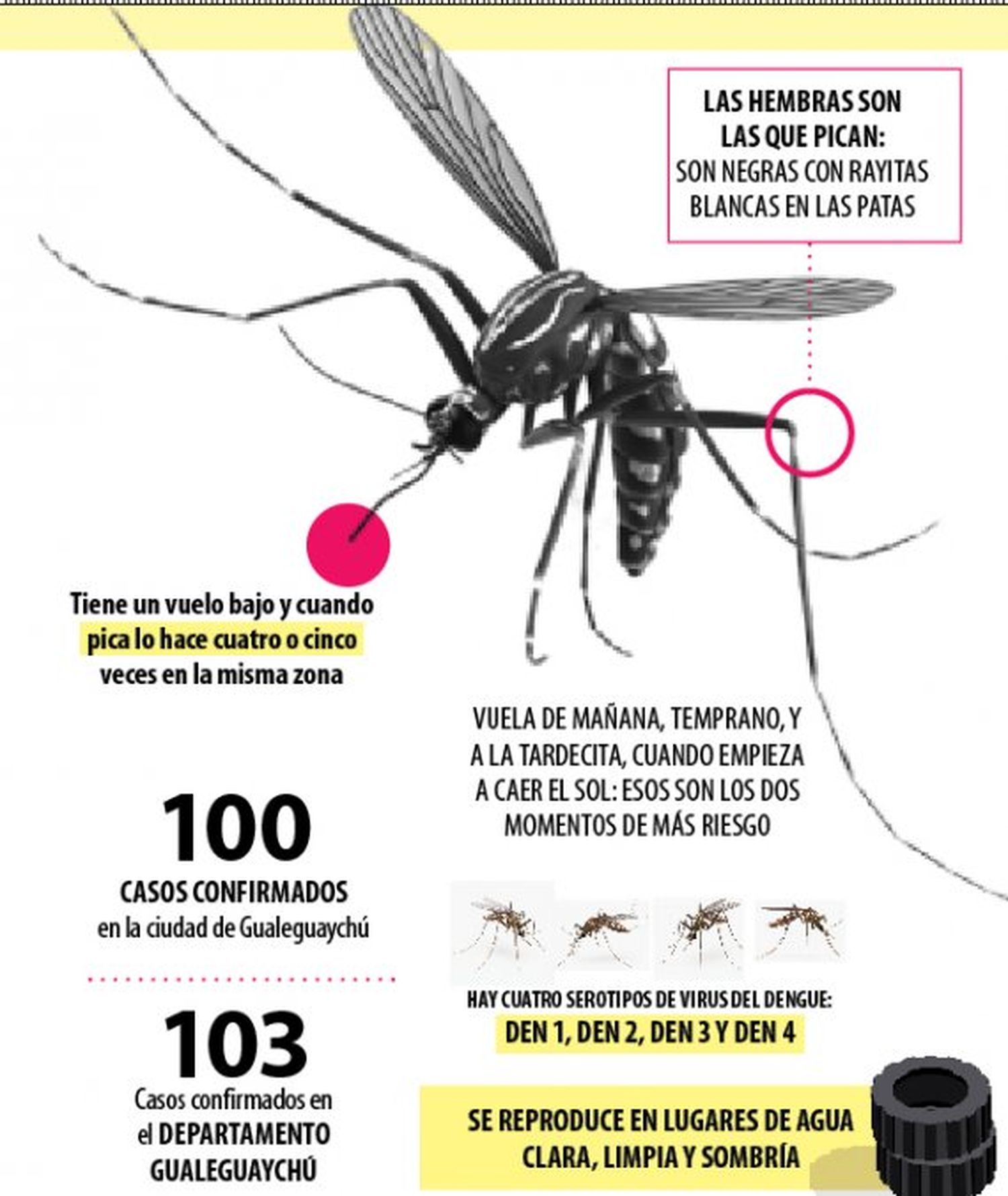 Infografía ElDía 