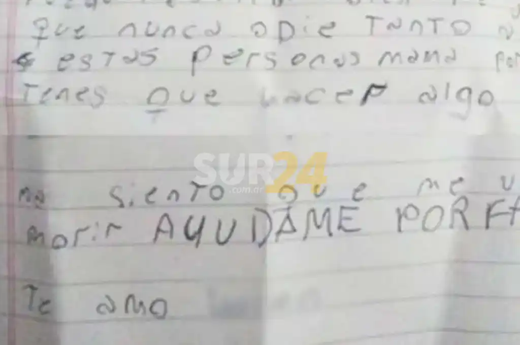 El desesperado pedido de ayuda de una nena de 12 años que sufre bullying