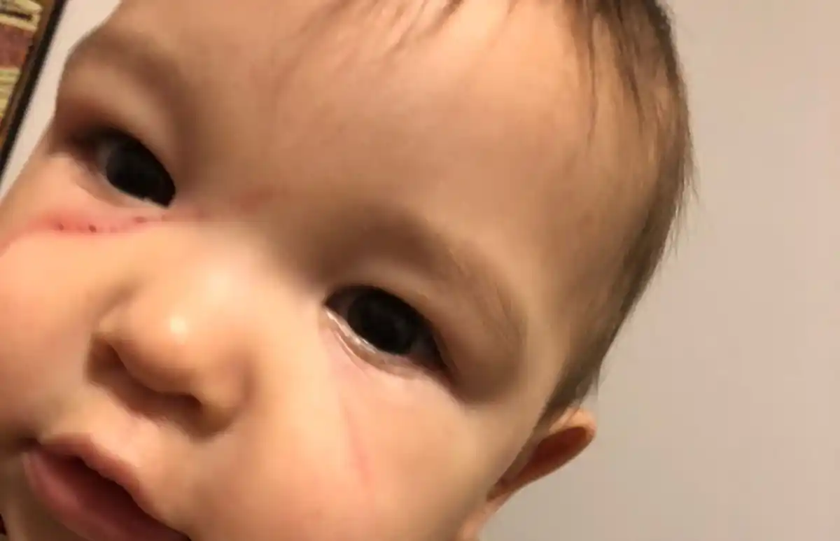 La diputada Nazarena Mesías denunció que agredieron a su sobrino durante un robo