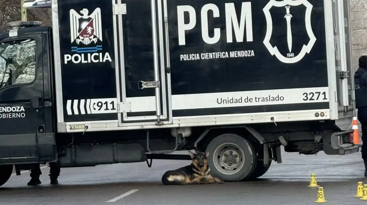 Tragedia y conmoción: un hombre murió atropellado en su cumpleaños y su perro no se separó de él