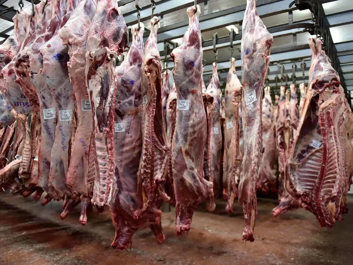 La cuarentena cambió la demanda de carne vacuna  
