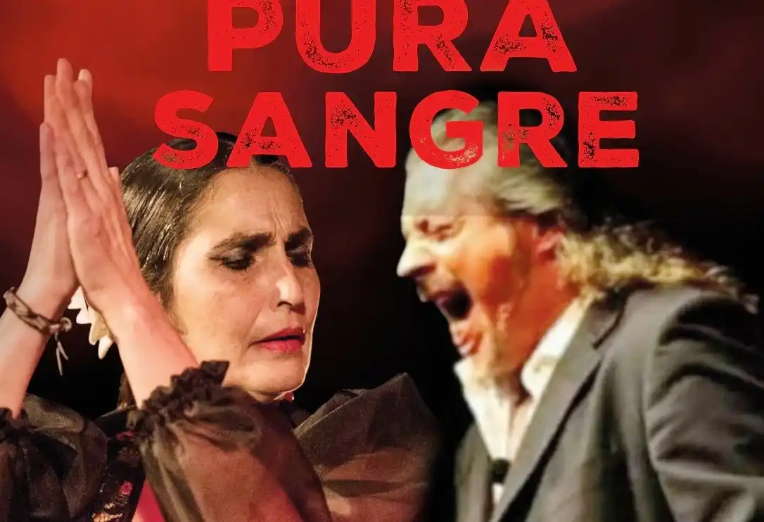 “Pura Sangre”, en el Teatro Odeón