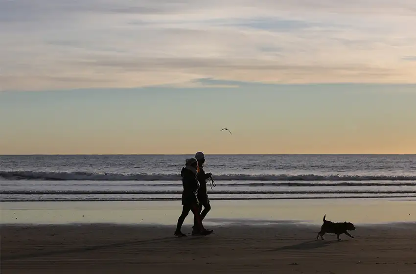 Vacaciones de invierno: "Los indicadores arrojan cifras superiores a 2019”