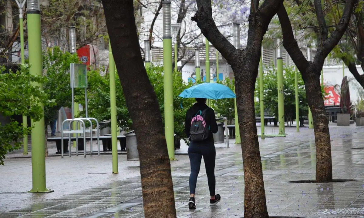 Alerta amarilla en Bahía por lluvia y viento desde la tarde del domingo