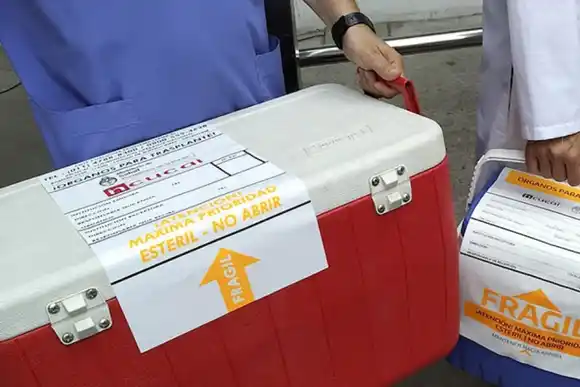 Santa Fe es la segunda provincia con más donantes de órganos en lo que va de 2025