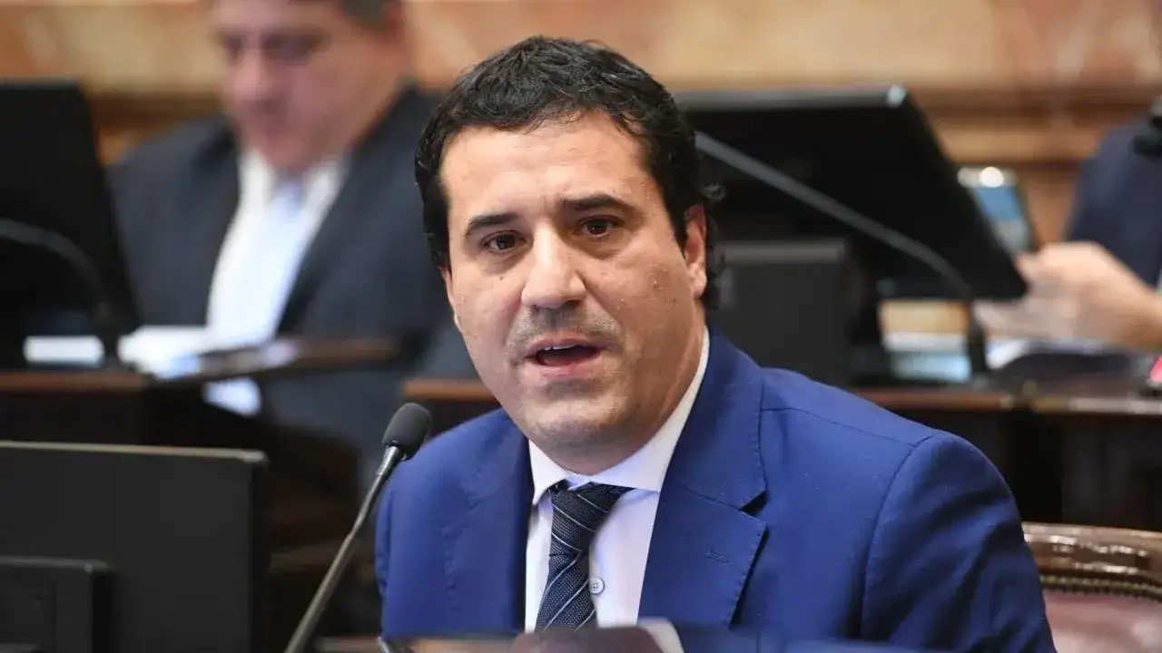 Abad rechazó en el Senado la modificación del régimen de Zona Fría