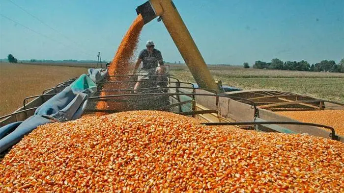 Aporte del campo por retenciones será récord en 2022, pero menor a lo estimado