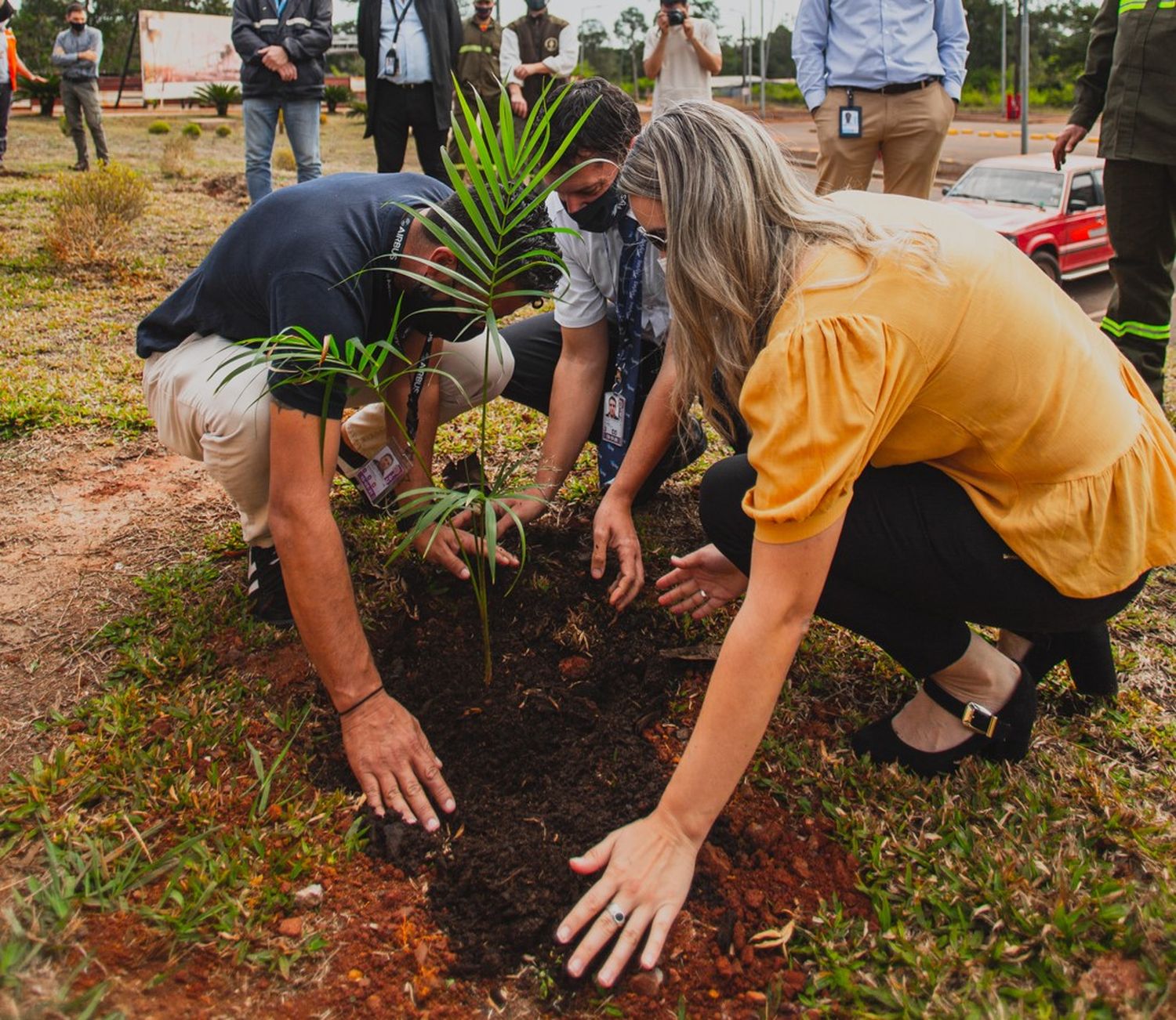 Reforestación del Aeropuerto de Iguazú: se sembraron más de un centenar de especies autóctonas