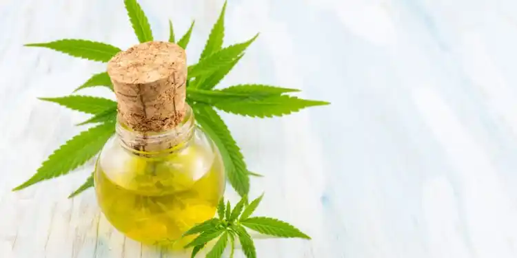 Ordenan a IOSPER cubrir un tratamiento médico con cannabis