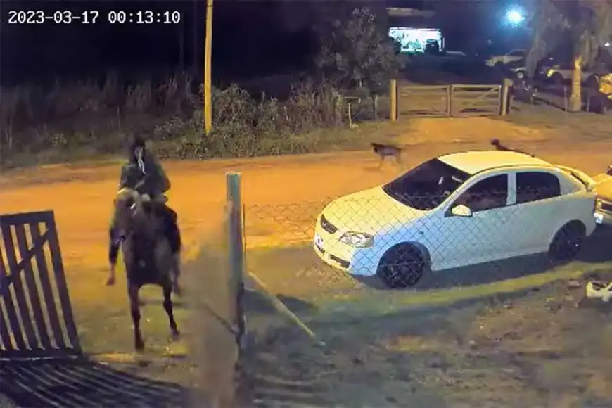 Entre Ríos: Dictaron condena al hombre que ingresó a robar en una casa montado en un caballo