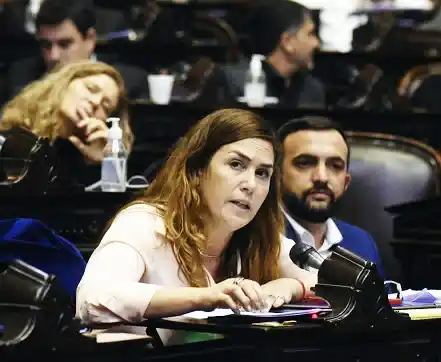 Boleta única:“Es un debate interesante que hay que dar en serio”