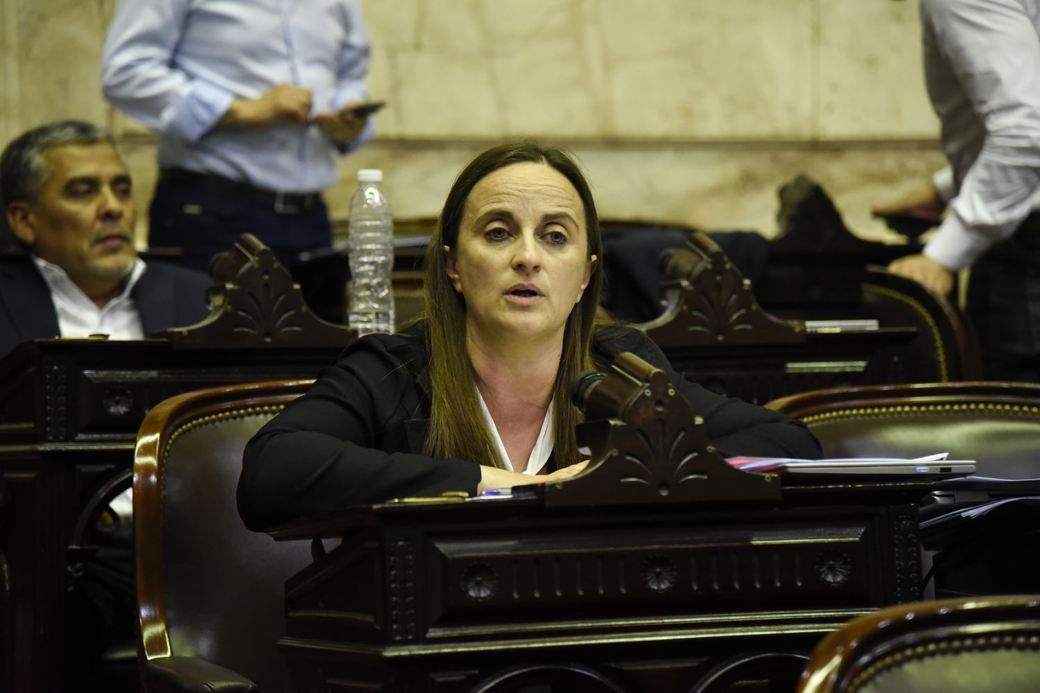 Ley de alquileres: La diputada Marcela Passo dijo que la actual norma "fracasó" porque aumentaron los precios