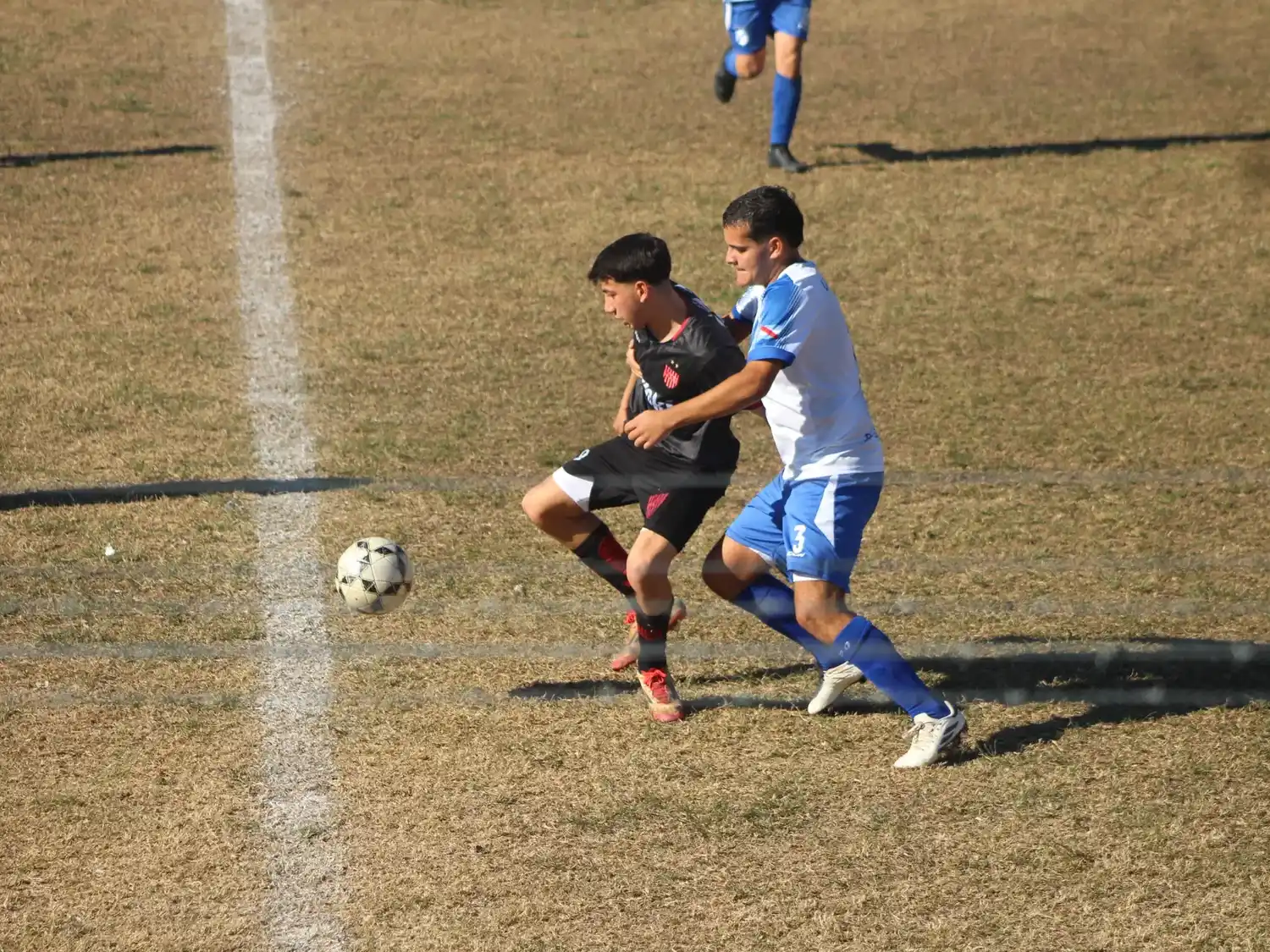 inferiores - 6