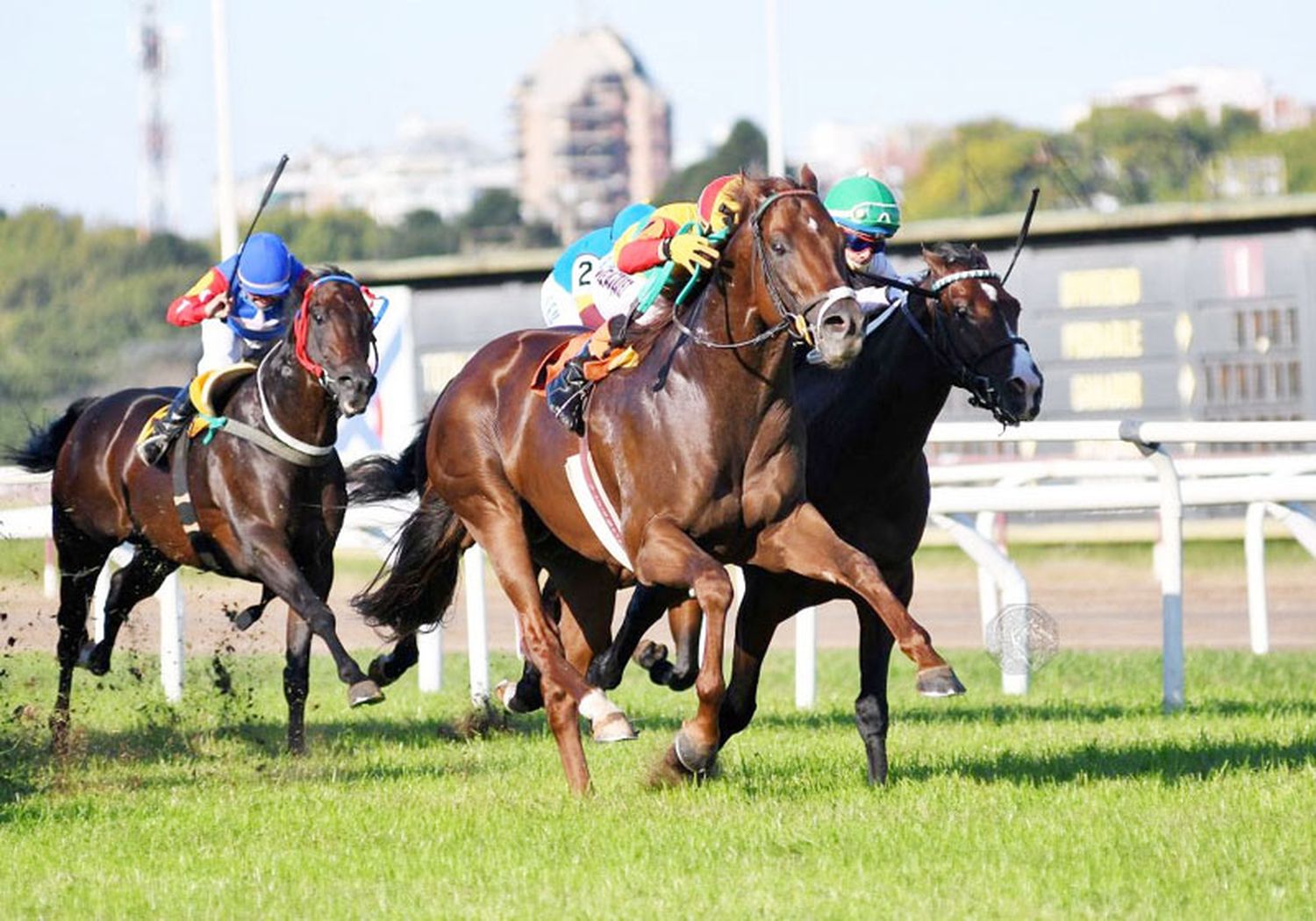 Miércoles 14: Actividad Hipódromo de San Isidro