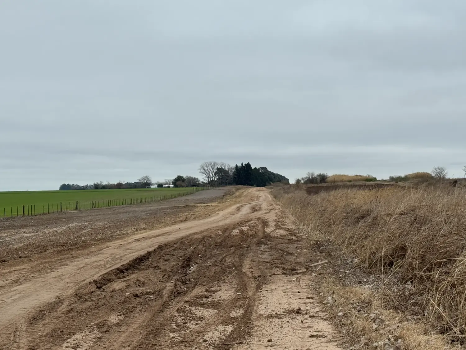 La tasa por mantenimiento de la red vial la pagan los propietarios de inmuebles ubicados en el campo.