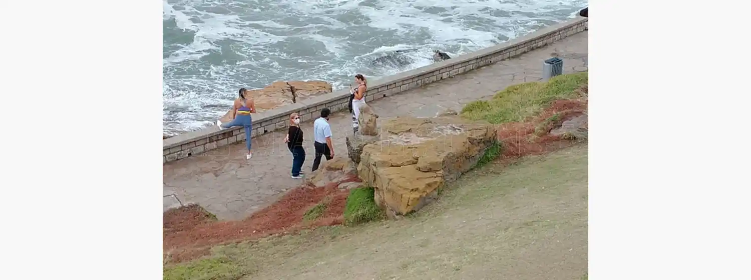 Quince minutos de fama: ya sacaron al perrito de Playa Chica