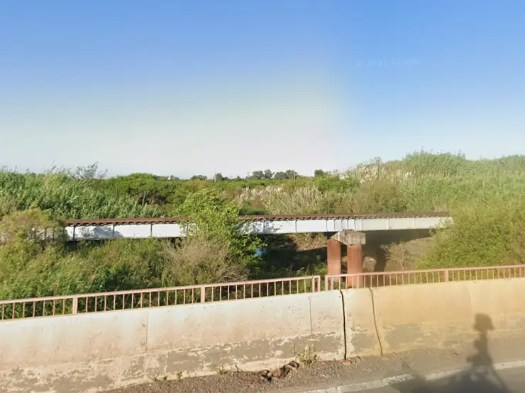 Hallaron un cuerpo en avanzado estado de descomposición en el canal Ibarlucea
