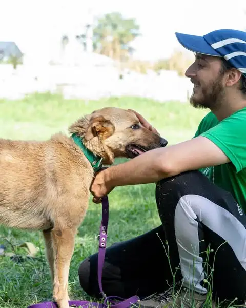 Adoptame Tandil