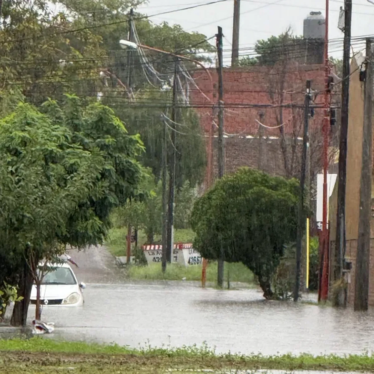 Imagen: Tucumán activó un comité de emergencia tras el paso de la tormenta