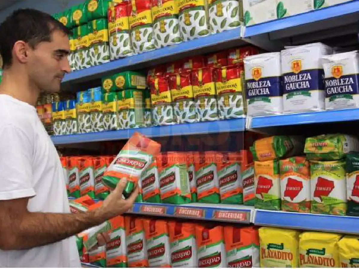 Brindan consejos para elegir la yerba mate 