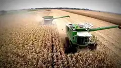 Se desarrollarán las Jornadas Nacionales de la Empresa Agropecuaria