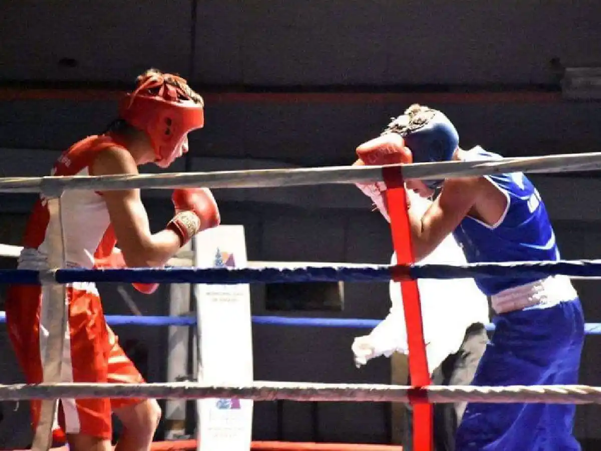 Se realizará festival amateur de boxeo en Freyre