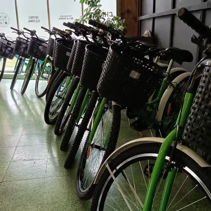 bicis
