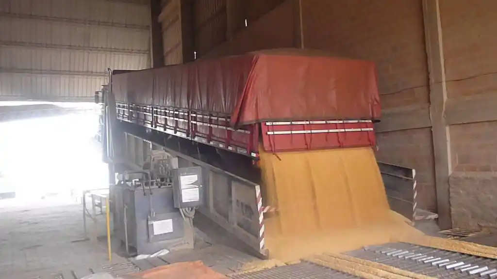 Agricultura habilitó la exportación de otras 6 millones de toneladas de maíz