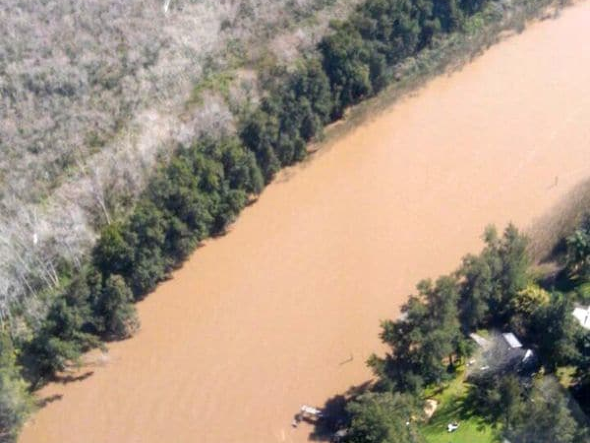 Confirmaron que hay restos humanos en el avión encontrado