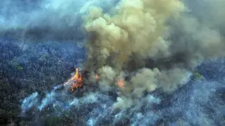 Unos 400 bomberos voluntarios argentinos se ofrecieron para combatir incendios